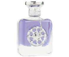 Aurora Scents Aurora Voyager Sidabrinis EDP parfumuotas vanduo vyrams, 100 ml