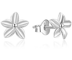 Beneto Fine sidabrinis earrings studs AGUP747L