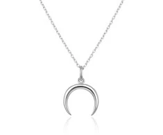 Beneto Gentle sidabrinis pakabukas with crescent AGS650 / 47 (chain, pendant)