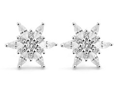 Beneto Stylish sidabrinis earrings Flaps AGUP2729