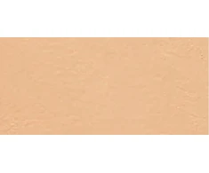 Bourjois Always Fabulous SPF 20 pudros makiažo pagrindas 310 7 g