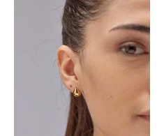 Brosway Elegantiški paauksuoti auskarai Tear Drop Perfect BPC41