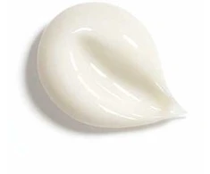 Chanel Le Lift Pro Volume Kreminis Day Kreminis