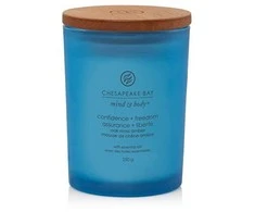 Chesapeake Bay Candle vidutinė žvakė – Confidence &amp; Freedom (Oak Moss Amber)