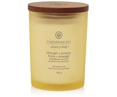 Chesapeake Bay Candle vidutinė žvakė – Strength &amp; Energy (Pineapple Coconut)