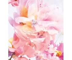 Kvepalai moterims Christian Dior Miss Dior Blooming Bouquet (EDT, 50 ml)