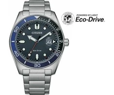 Laikrodis CITIZEN Eco-Drive AW1761-89L