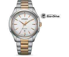 Laikrodis Citizen Eco-Drive AW1756-89A