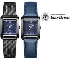 Laikrodis Citizen Eco-Drive EW5597-63L