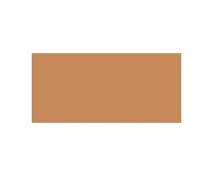 Clarins Everlasting Matte Foundation makiažo pagrindas, atspalvis: 113C - Chestnut, 30 ml