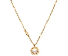 Coach Women's auksinis-plated jewelry set 37530390GLD110