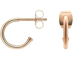 Daniel Wellington Auksuoti žiediniai auskarai „Charms DW00400767“