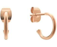 Daniel Wellington Auksuoti žiediniai auskarai „Charms DW00400767“