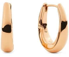 Daniel Wellington Auksu padengti ovalūs auskarai Flow DW00402079
