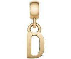 Daniel Wellington Auksu padengtas pakabukas su raide „D“ DW00400487