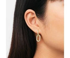 Daniel Wellington Prabangūs auksu dengti auskarai 2 in 1 Crystal Link DW00400594