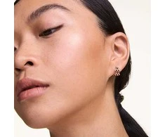 Daniel Wellington Stylish bronze earrings 5-Link DW00400960