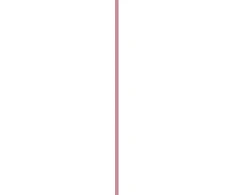 Dermacol Lip gloss Peptide Lip Glaze 2.5 ml