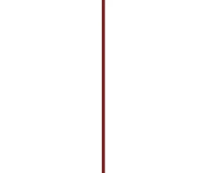 Dermacol Lip gloss Peptide Lip Glaze 2.5 ml