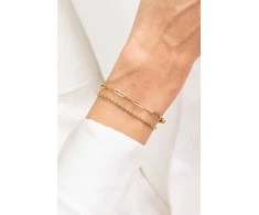 Emily Westwood Elegantiška dviguba apyrankė iš paauksuoto plieno „Elysian EWB250190G“