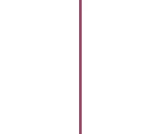 Essence Cosmetics Juicy Bomb Bálsamo Manteca Labial 08-Cherrything I Want 2,, 5 g