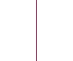 Essence Juicy Tint Lip Maker 3.5 ml
