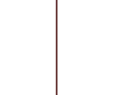 Essence Line n` STAIN lip pen! Lip Liner 1.1 ml