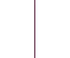 Essence Lip gloss Juicy Bomb (Shiny Lūpų blizgis) 10 ml
