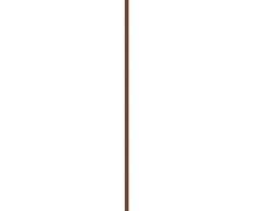 Estée Lauder Glossy Pout Aceite De Labios 05-Hot Cocoa, 6 ml
