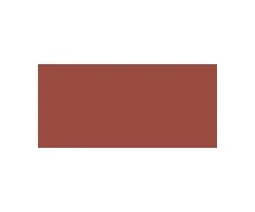 Estée Lauder Pure Color Hi-Lustre Lipstick Tiger Eye 3,, 5 g
