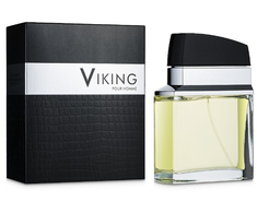 Flavia Parfum Flavia Viking Pour Homme EDP parfumuotas vanduo vyrams, 100 ml