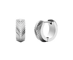 Fossil Elegantiški plieniniai auskarai su lanku Harlow JF04666040