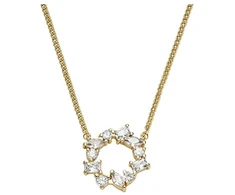 Fossil Glittering women's pakabukas Ellis JA7295710