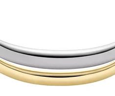 Fossil Open solid bracelet for women Ellis JF04874998