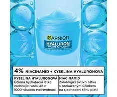 Garnier Hydrating cream Hyaluron Fresh &amp; Plump Sorbet Kreminis 80 ml