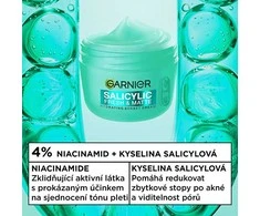 Garnier Salicylic Fresh &amp; Pure Sorbet Kreminis 85 ml