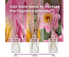 Glade Reeds Relaxing Zen Reed Diffuser 50 ml