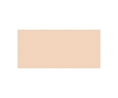 Guerlain Guer Teint Parure Gold Mate