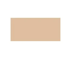 Guerlain Guer Teint Parure Gold Mate