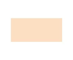 Guerlain Guer Teint Parure Gold Mate