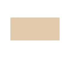 Guerlain Guer Teint Parure Gold Mate