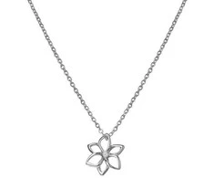 Hot Diamonds Fine Sidabrinis karoliai su deimantų puokšte deimantiniai amuletai DP894 (grandinė, pakabukas)