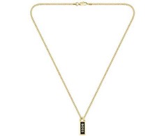 Hugo Boss Paauksuotas vyriškas karoliai Kassy Emblem 1580678