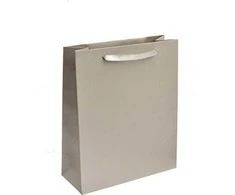 Jk Box Sidabrinis paper gift bag EC-5 / AG