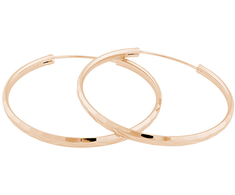 JVD Rožinė auksinis plated sidabrinis earrings rings SVLE0209XD5RO