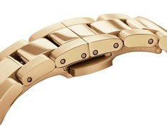 Laikrodis Daniel Wellington Iconic Link 32 DW00100566
