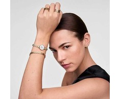 Laikrodis Daniel Wellington Petite Mini 19 Arch 3-Link Baltas Gold DW00100855