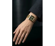 Laikrodis Emily Westwood Daily Aura EFW-5914GQ