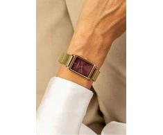 Laikrodis Frederic Graff Burgundy Essence FGB-3414