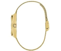 Laikrodis Watches GUESS LADIES GW0748L2